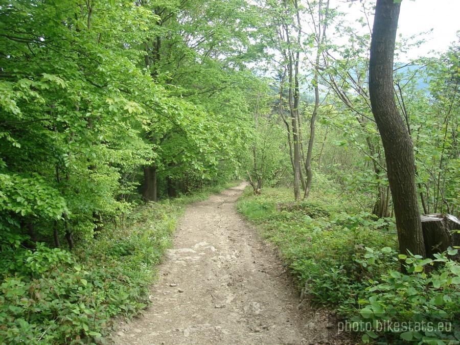szlak
