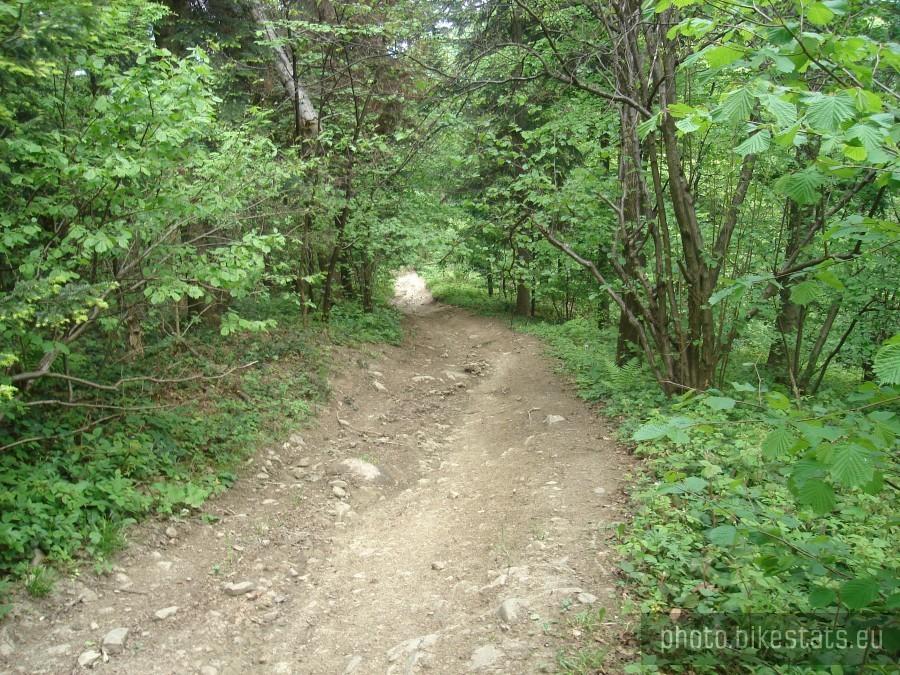 szlak