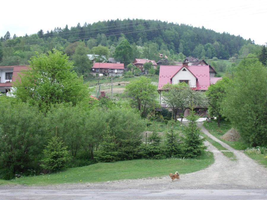 Wielka Puszcza