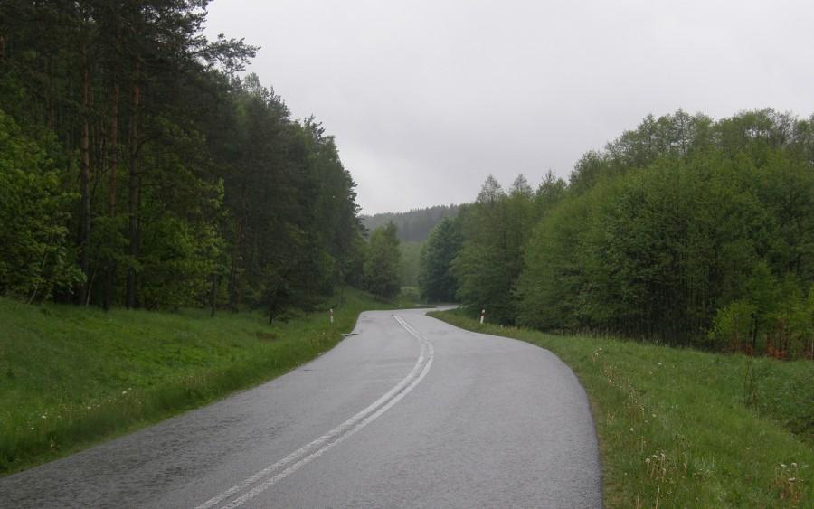 Kręta szosa wśród lasów
