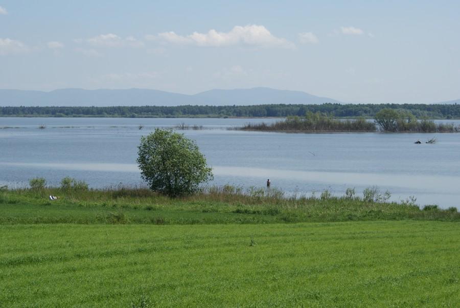 Jezioro Goczałkowickie
