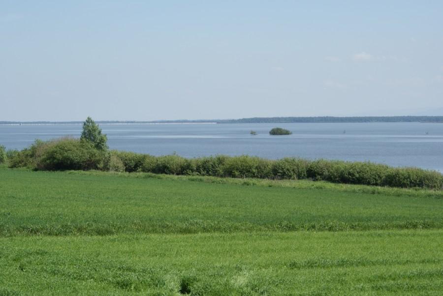 Jezioro Goczałkowickie
