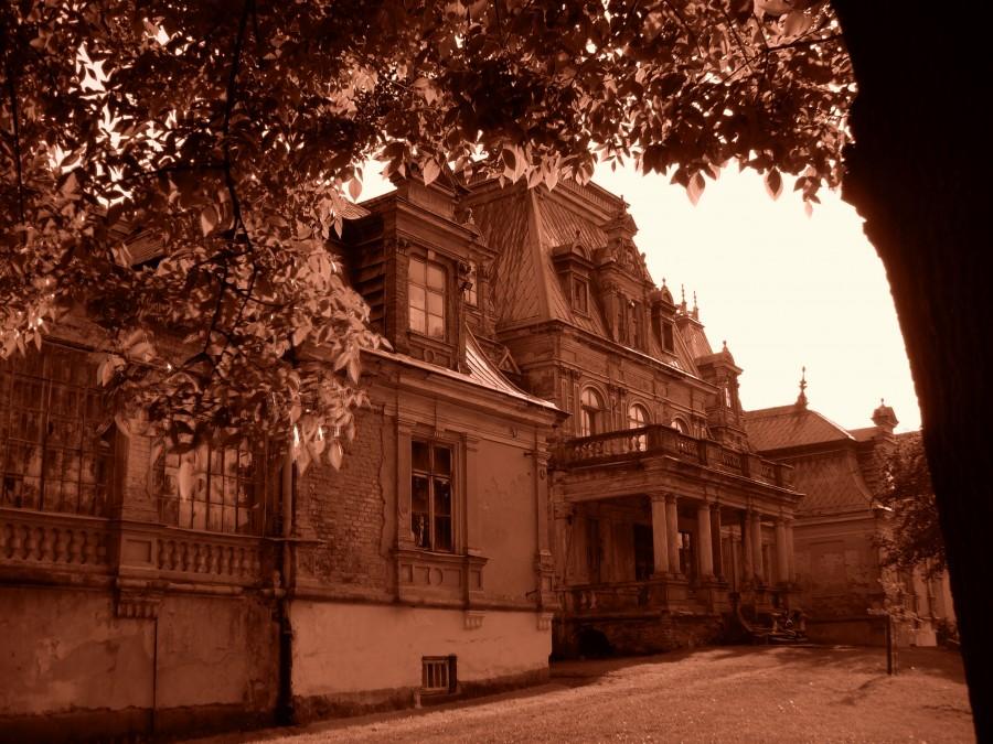 Guzów -Pałac