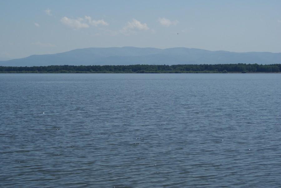 Jezioro Goczałkowickie