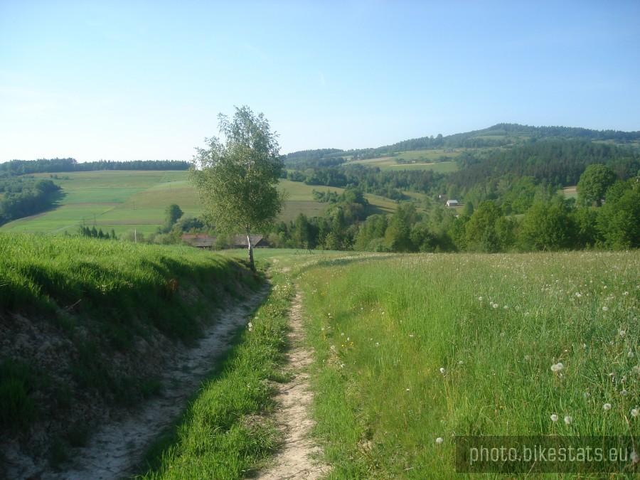 szlak