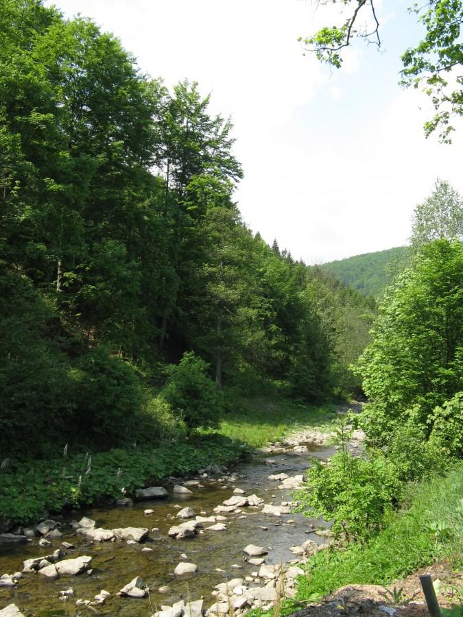 Potok w Beskidach