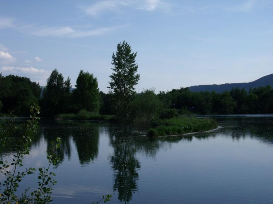 staw w Kobiernicach