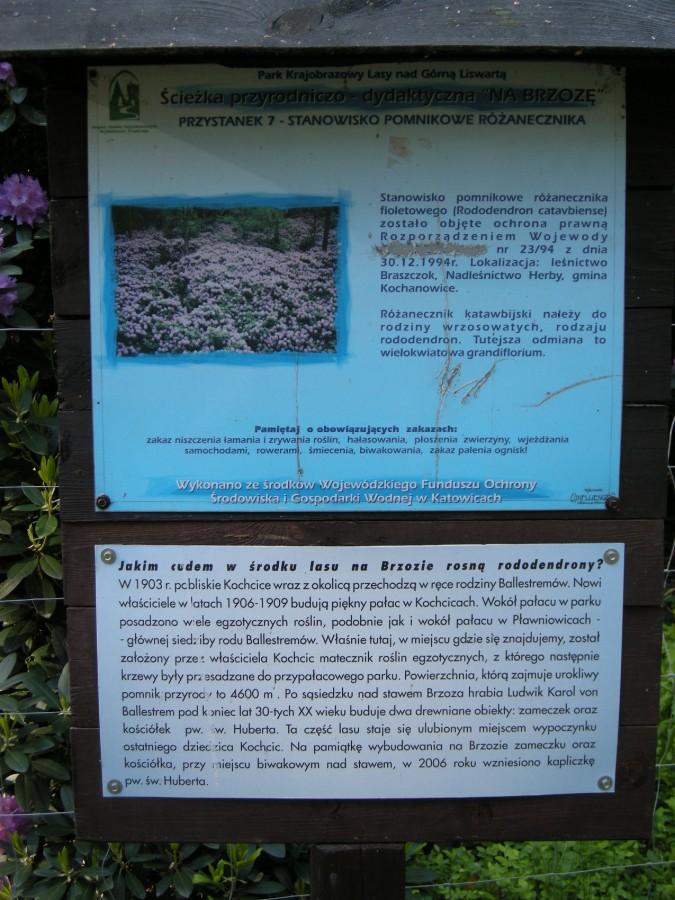Historia kwiatków-mutantów