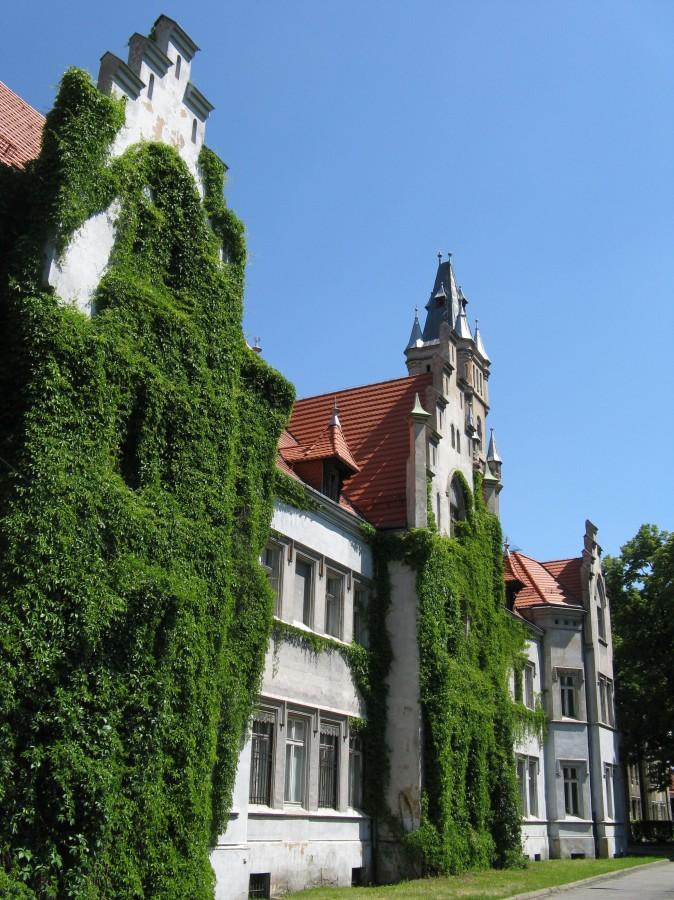 Pałac w Nakle Śląskim