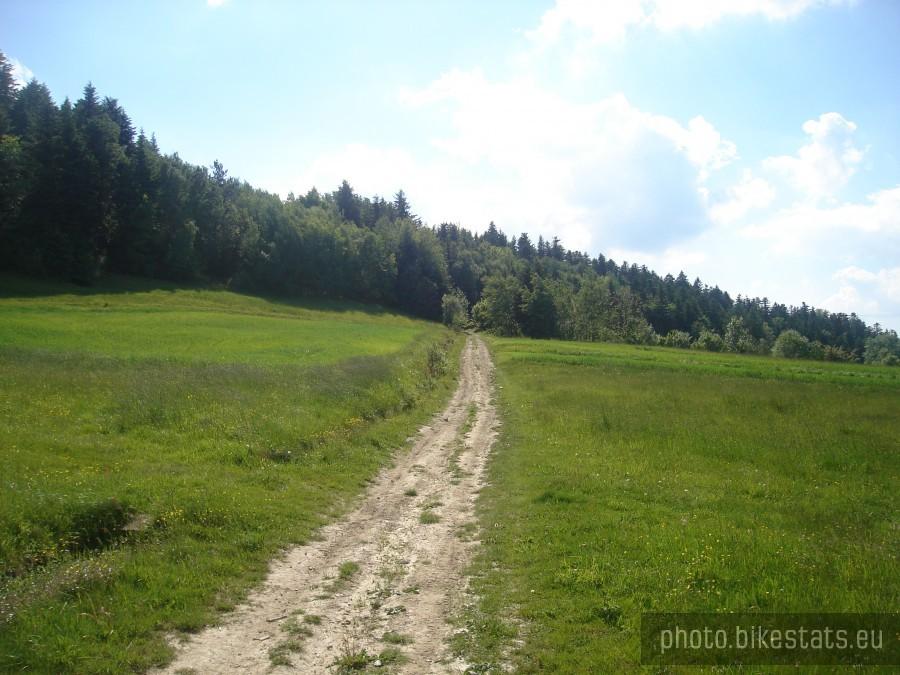 początek niebieskiego szlaku
