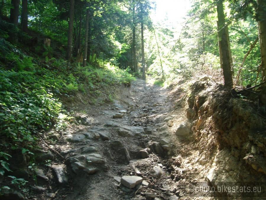 szlak