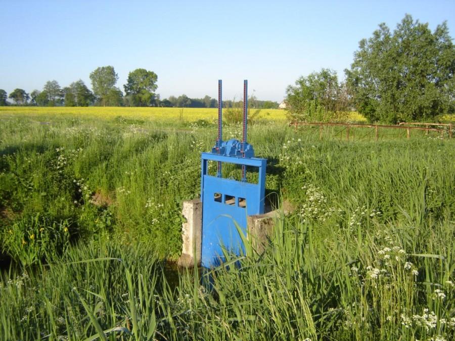 Żuławy