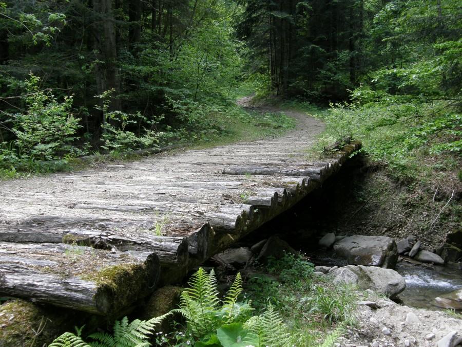 Górski mostek