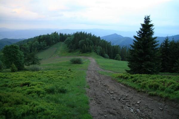 Polana Konieczna