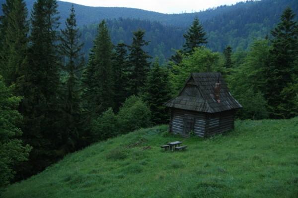 Polana Konieczna