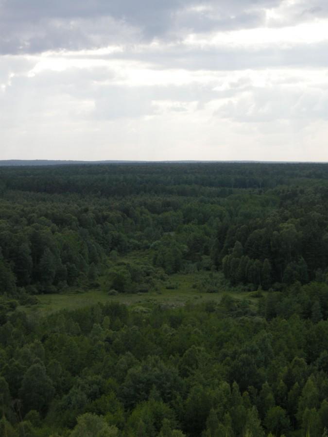 Widoczek