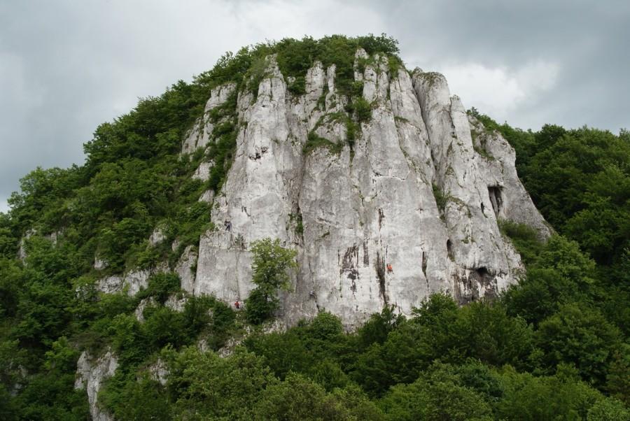 Sokolica