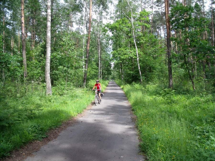 czerwony szlak