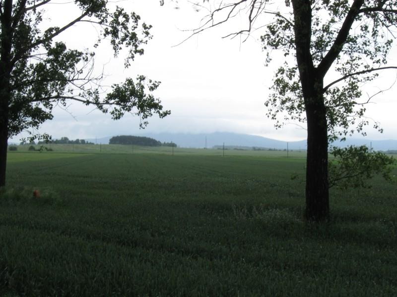 Ślęża we mgle.