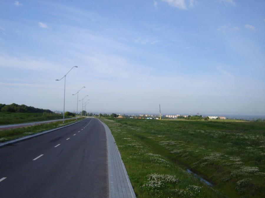 Modrzewina