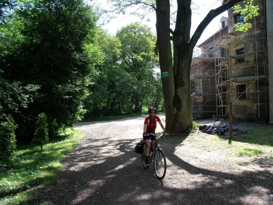 klasztor i park w Rudach
