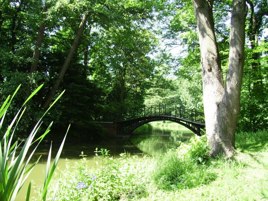 pszczyna