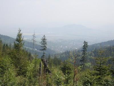 Widok na Radziechowy