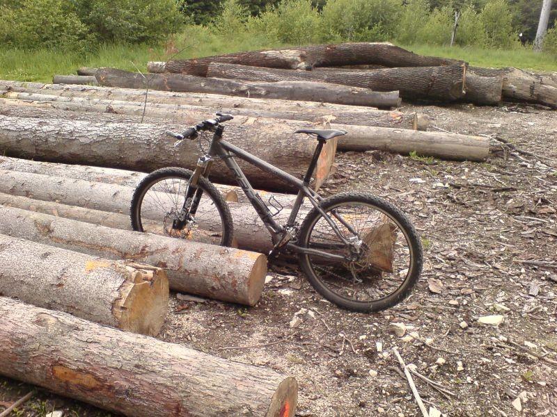 Leśny parking.