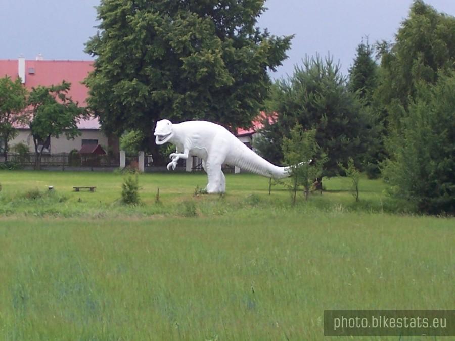 dinuś