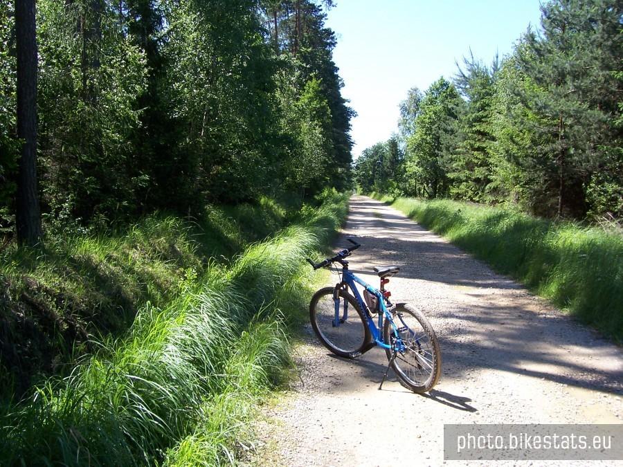 leśna ścieżka rowerowa