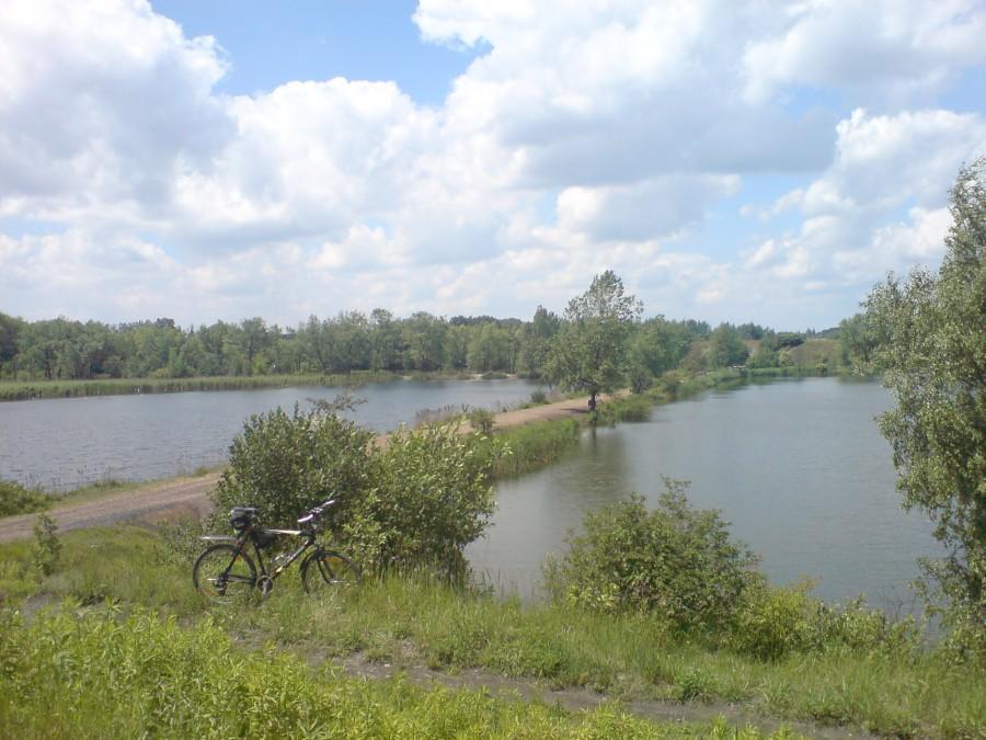 Rezerwat Przyrodniczo Krajobrazowy "Żabie Doły"