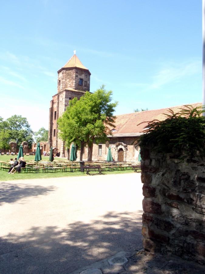 zamek w Toszku