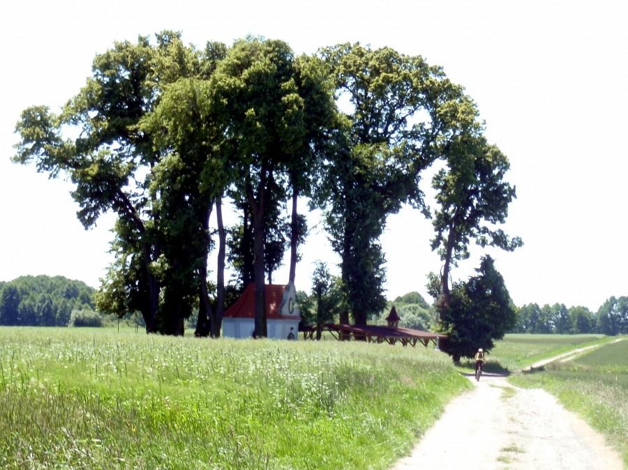 kaplica w Goju