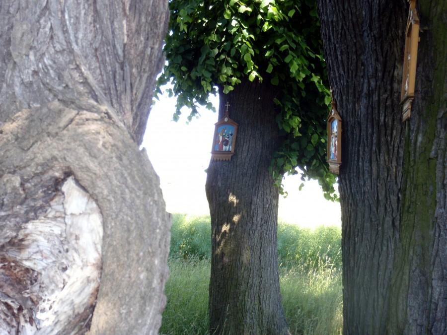 droga krzyżowa w kaplicy w Goju