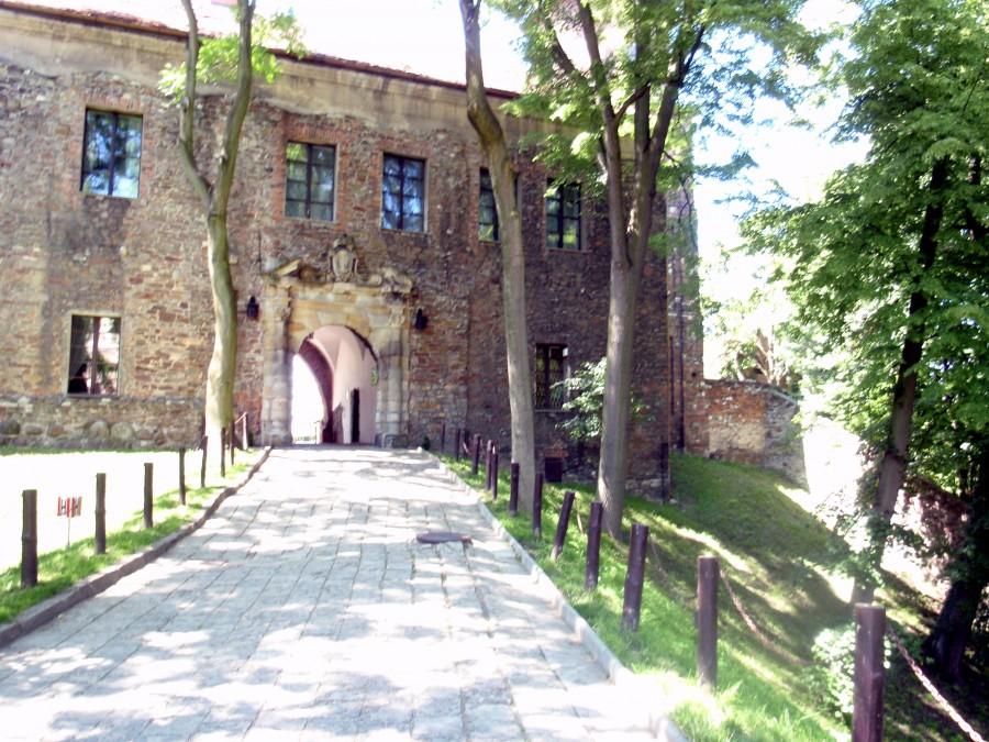 zamek w Toszku