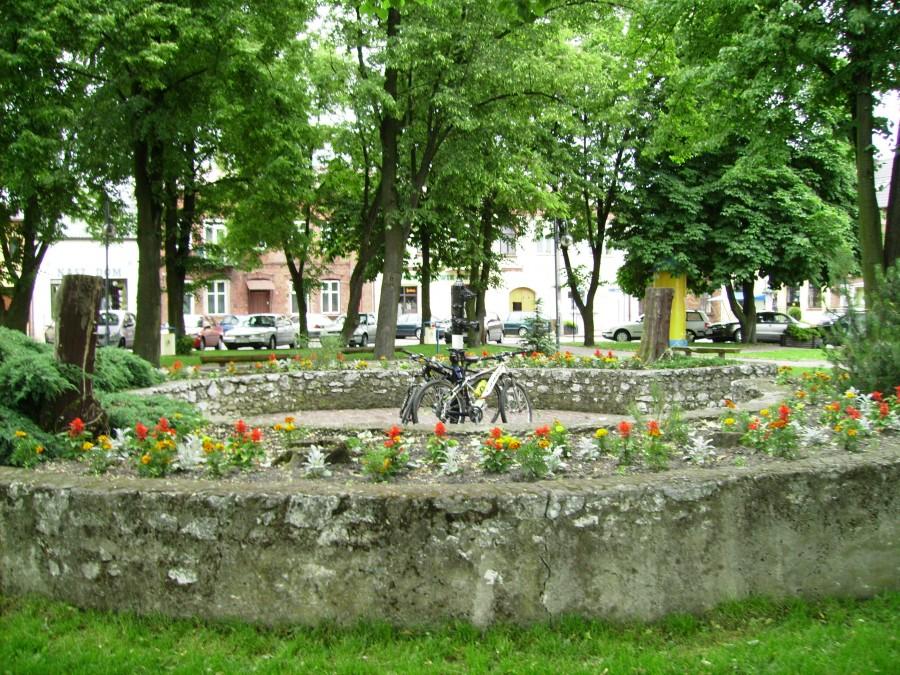 Sobotnia wyprawa - Rynek w Żarnowcu