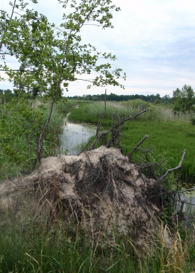 Hadra- trąba powietrzna i tędy przeszła przed rokiem