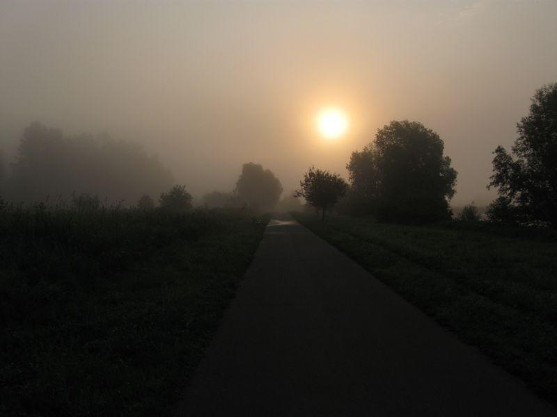 Nad zalewem.