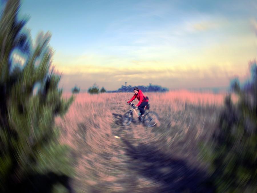 Podwójne salto ;-)