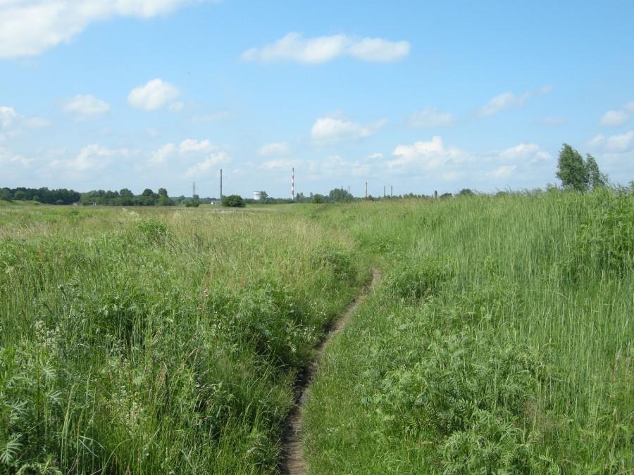 Singletrack