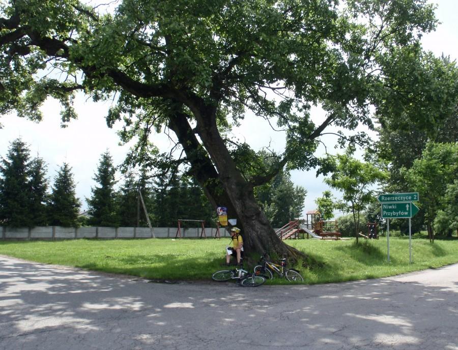 Rzerzęczyce 2km