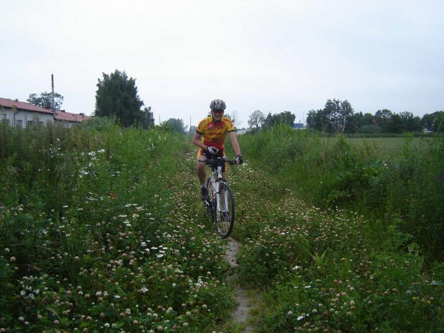 Tomek na bezdrożu.