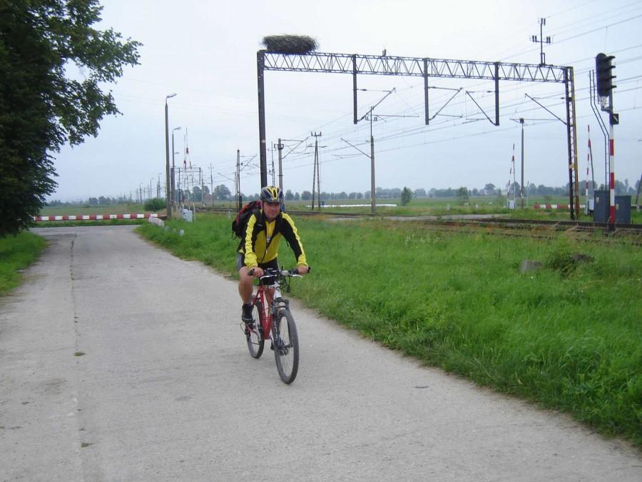 Gronowo Elbląskie