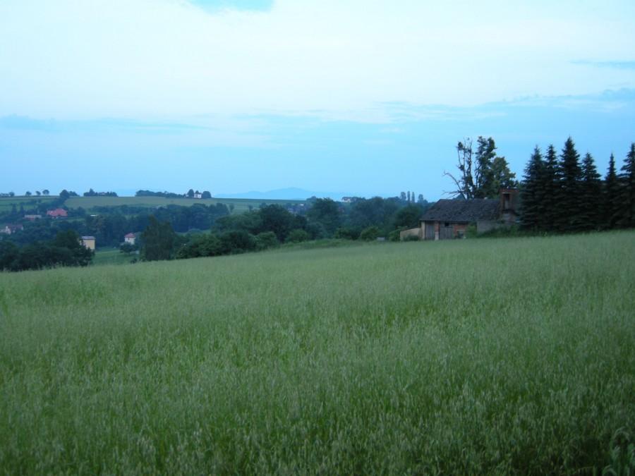Widok na góry
