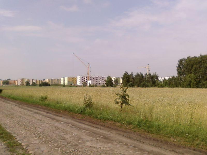 Olechów - bloki prawie w polu