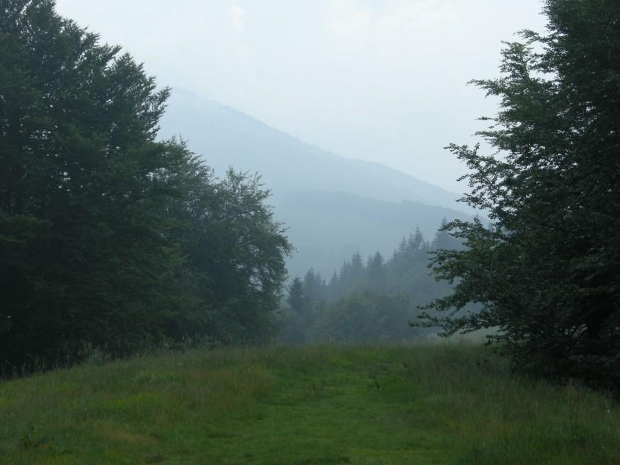Widok ze szczytu Małej Czantorii