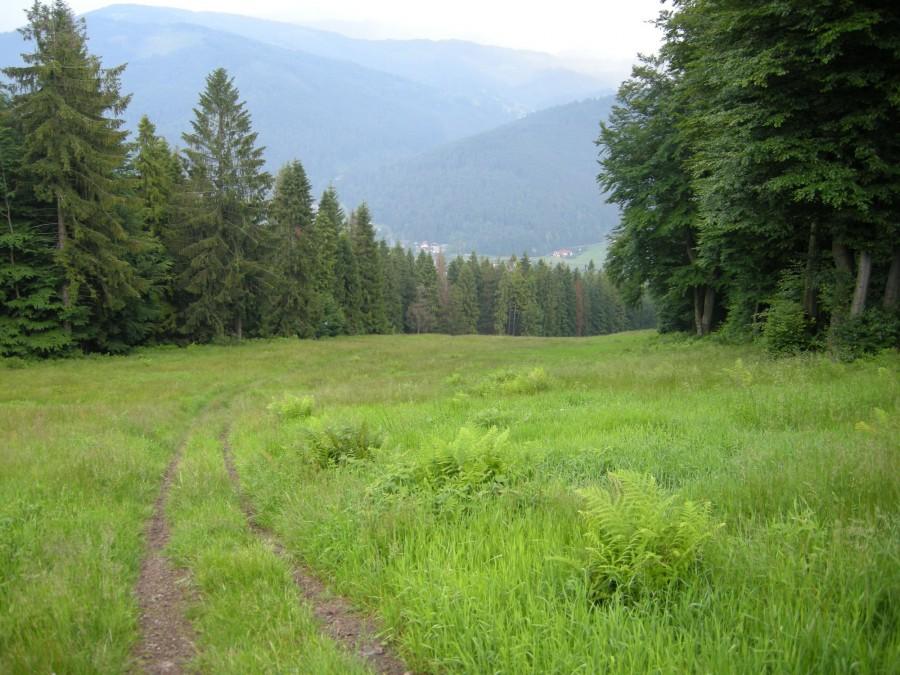 Czantoria - niebieska trasa narciarska