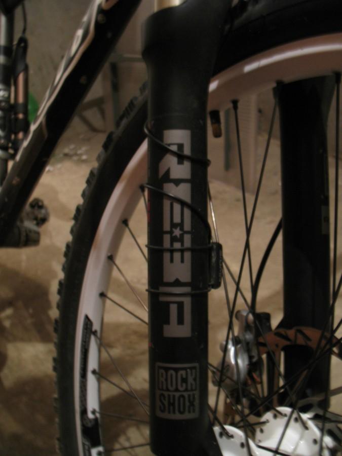 Amor