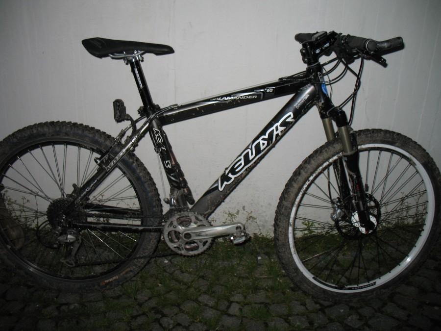 Salamandra
