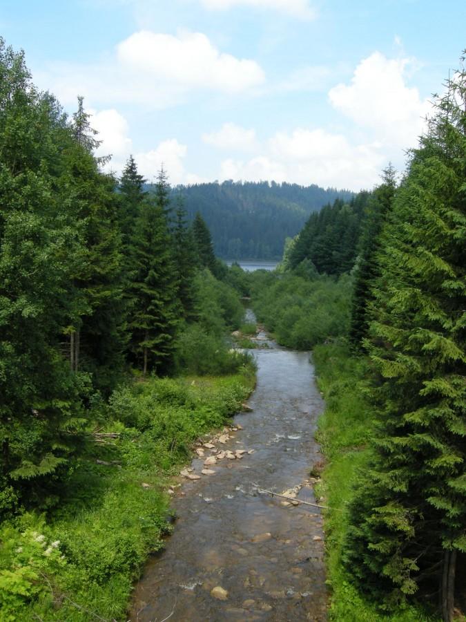 Czarna Wisełka